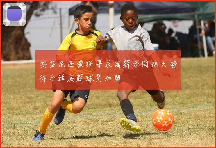 安芬尼西蒙斯寻求高薪合同热火静待合适底薪球员加盟